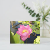 Wasserlilie Postkarte (Stehend Vorderseite)