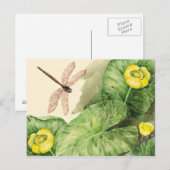 Wasserlilie Postkarte (Vorne/Hinten)
