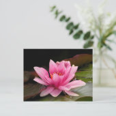 Wasserlilie Postkarte (Stehend Vorderseite)