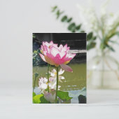 Wasserlilie Postkarte (Stehend Vorderseite)