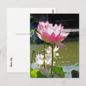 Wasserlilie Postkarte (Vorne/Hinten)