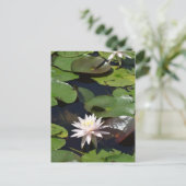 Wasserlilie Postkarte (Stehend Vorderseite)
