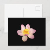 Wasserlilie Postkarte (Vorne/Hinten)