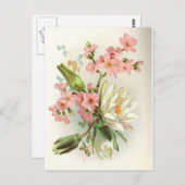 Wasserlilie Postkarte (Vorne/Hinten)