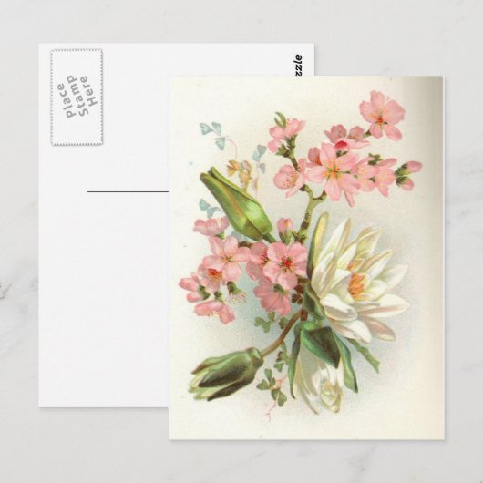 Wasserlilie Postkarte (Vorne/Hinten)