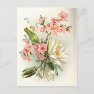 Wasserlilie Postkarte