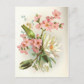 Wasserlilie Postkarte (Vorderseite)