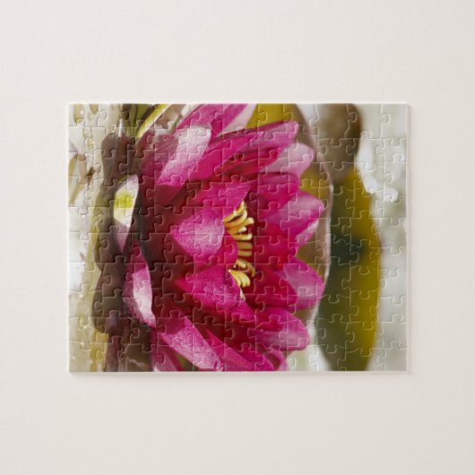 Wasserlilie Puzzle (Horizontal)