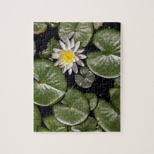 Wasserlilie Puzzle (Vertikal)