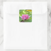 Wasserlilie Quadratischer Aufkleber (Tasche)