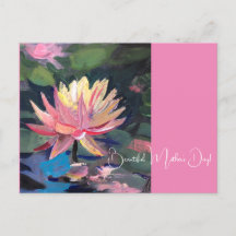 Wasserlilie, rosa Blume