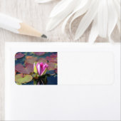 Wasserlilie Rücksendeadresse (Insitu)