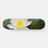 Wasserlilie Skateboard (Horizontal)
