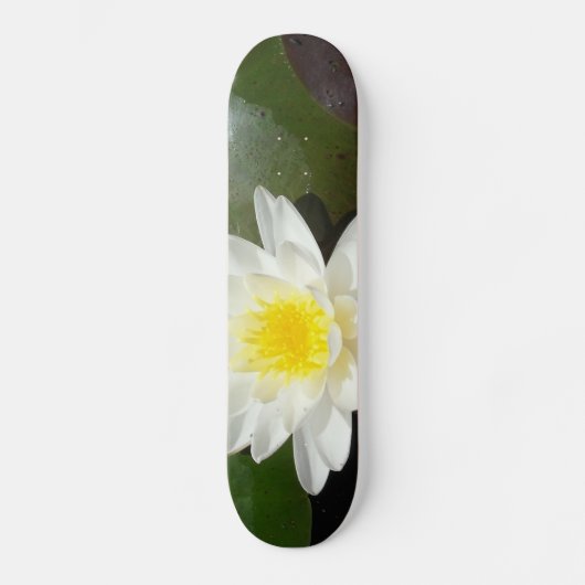 Wasserlilie Skateboard (Vorderseite)