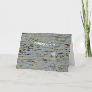 Wasserlilie Teichsee Blume I Grußkarte Karte