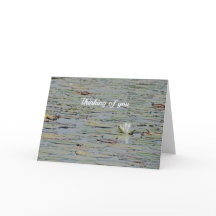 Wasserlilie Teichsee Blume I Grußkarte