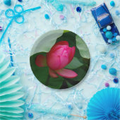 Wasserlilie Tiefe Rose Pappteller (Party)