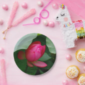 Wasserlilie Tiefe Rose Pappteller (Party)