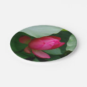 Wasserlilie Tiefe Rose Pappteller (Schrägansicht)
