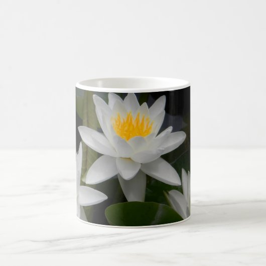 Wasserlilie Trio Tasse (Mittel)