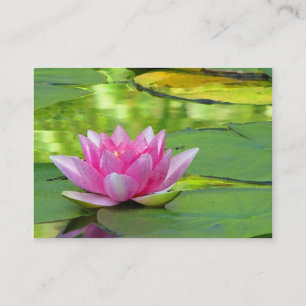 Wasserlilie Visitenkarte