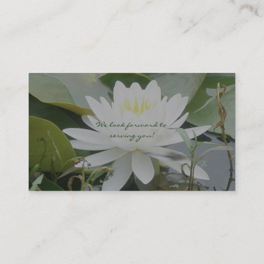 Wasserlilie-Visitenkarte Visitenkarte (Rückseite)