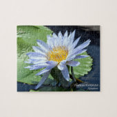 Wasserlilie Water Lily Jigsaw Puzzle Game (Horizontal)