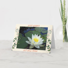 Wasserlilie wird gut karte