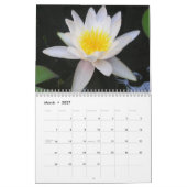 Wasserlilien 2012, Doppelseite Kalender (Mär 2027)