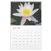 Wasserlilien 2012, Single Kalender (Mär 2027)