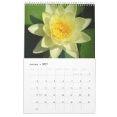 Wasserlilien 2012, Single Kalender (Jan 2027)