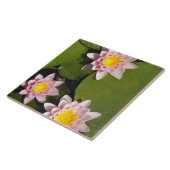 Wasserlilien Fliese (Seite)