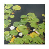 Wasserlilien Fliese (Vorderseite)