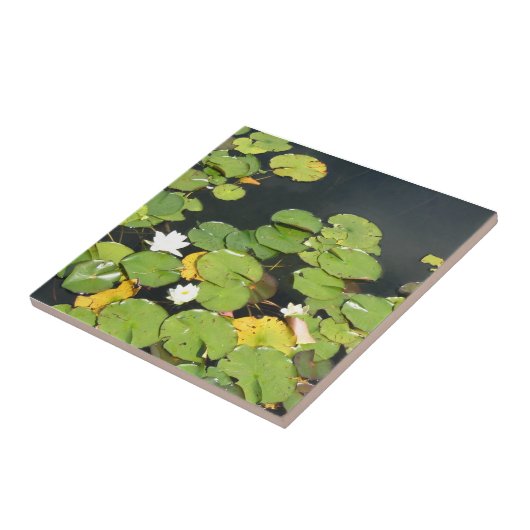 Wasserlilien Fliese (Seite)