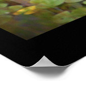 Wasserlilien Foto Poster (Ecke)