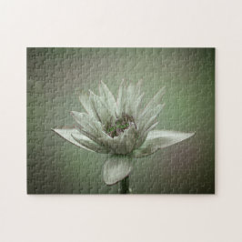 Wasserlilien-Grünton-Puzzle Puzzle