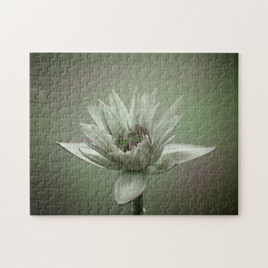 Wasserlilien-Grünton-Puzzle Puzzle (Horizontal)
