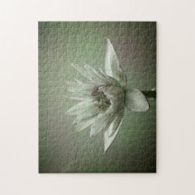 Wasserlilien-Grünton-Puzzle
