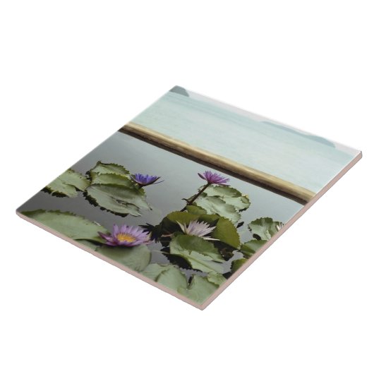 Wasserlilien im Teich durch Ozean Fliese (Seite)