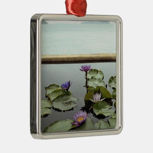 Wasserlilien im Teich durch Ozean Silbernes Ornament (Rechts)