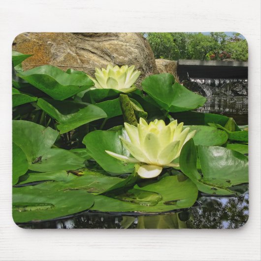Wasserlilien im Teich Mousepad (Vorne)