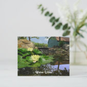Wasserlilien im Teich Postkarte (Stehend Vorderseite)