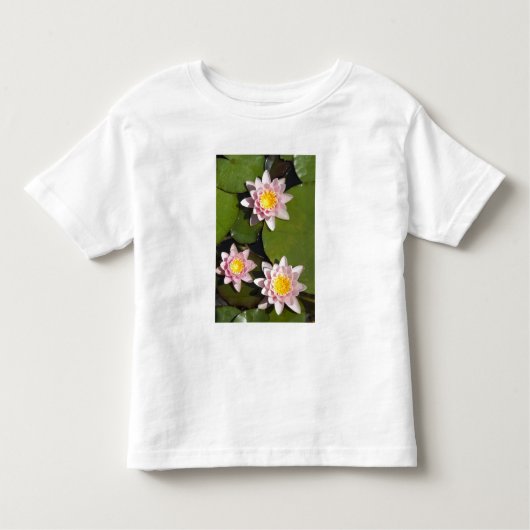 Wasserlilien Kleinkind T-shirt (Vorderseite)