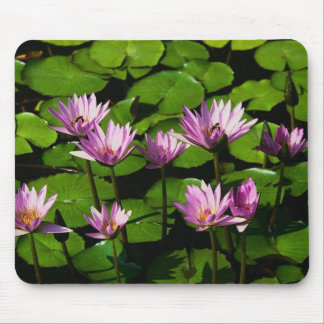 Wasserlilien Mousepad