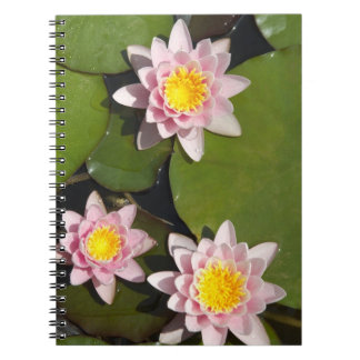 Wasserlilien Notizblock