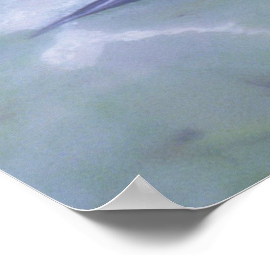 Wasserlilien-Plakat Poster (Ecke)