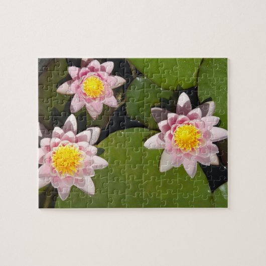 Wasserlilien Puzzle (Horizontal)