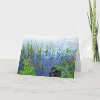 Wasserlilien, Sharon CT Karte