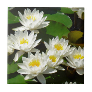 Wasserlilien und Blätter Fliese