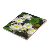 Wasserlilien und Blätter Fliese (Seite)
